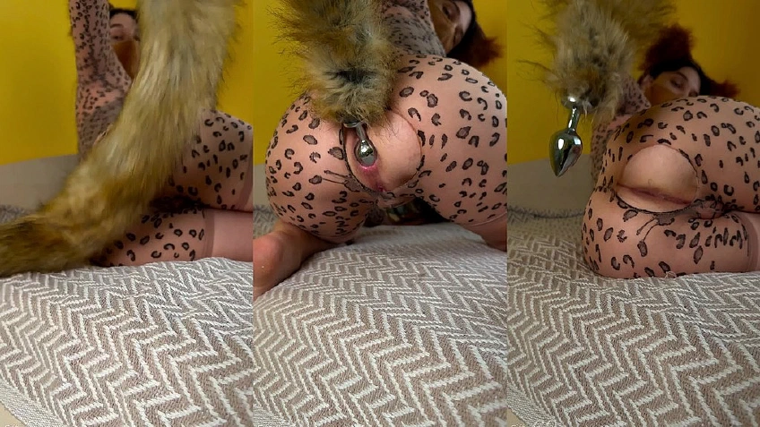 Anal Plug With A Tail And Ears